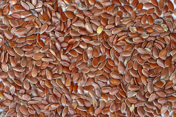 تصویر 1 از فروش تخم کتان قرمز + قیمت خرید به صرفه